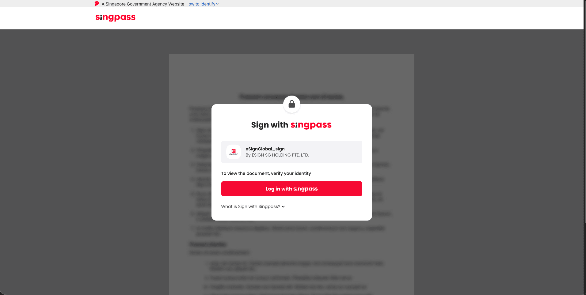 4-singpass1.png